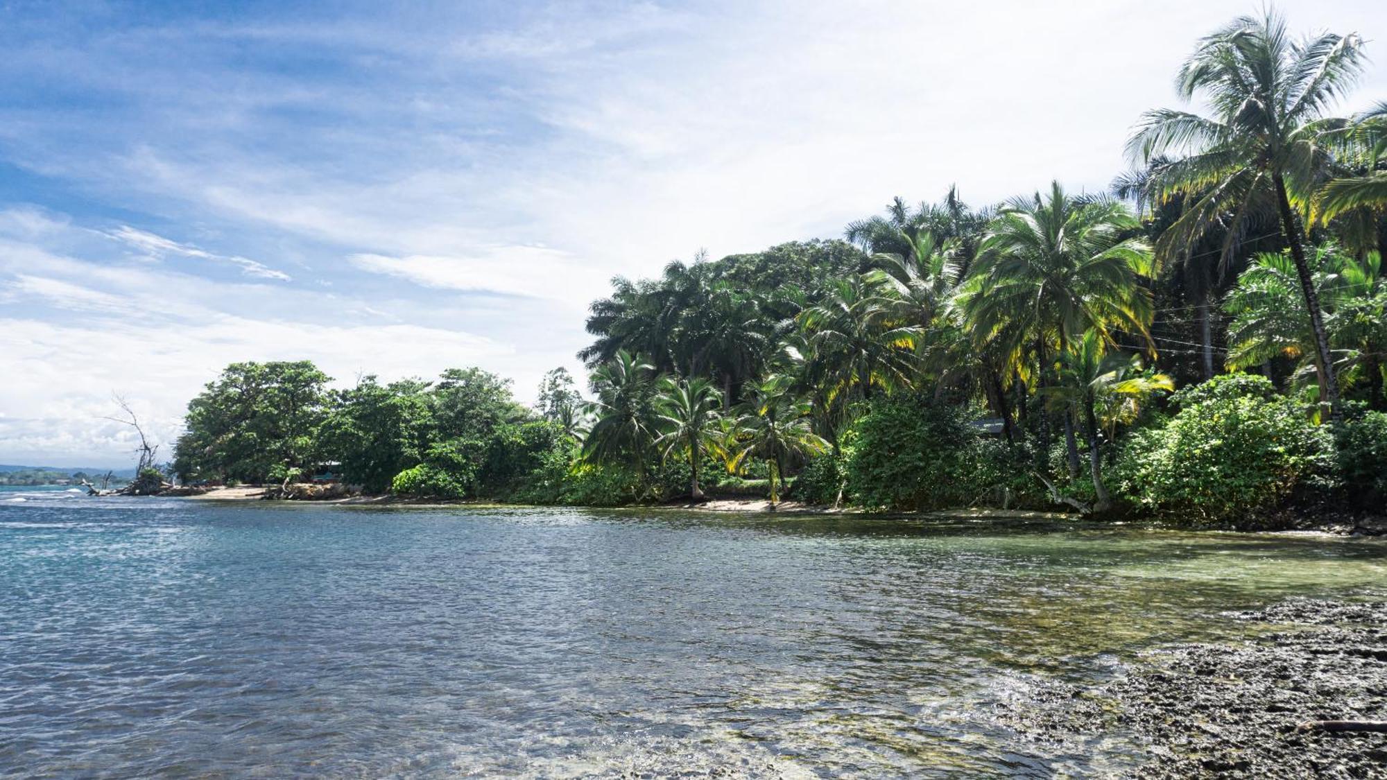 Bocas Garden Lodges Bocas del Toro Exteriör bild