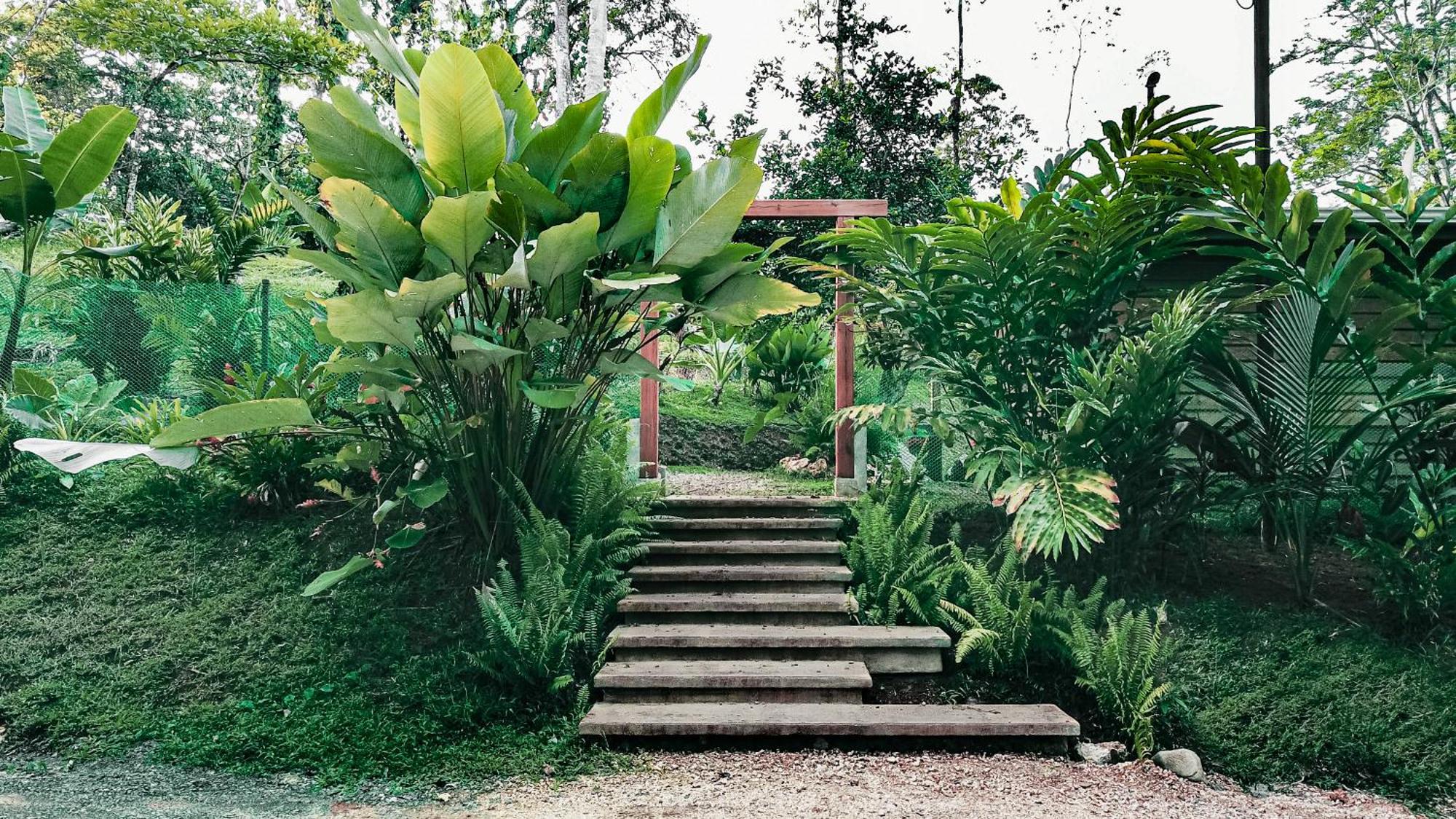 Bocas Garden Lodges Bocas del Toro Exteriör bild