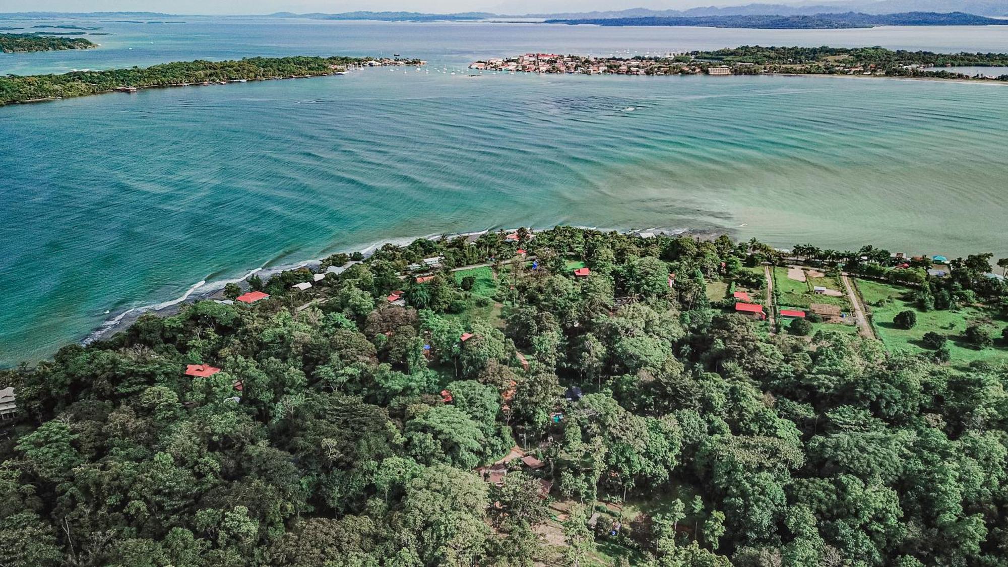Bocas Garden Lodges Bocas del Toro Exteriör bild