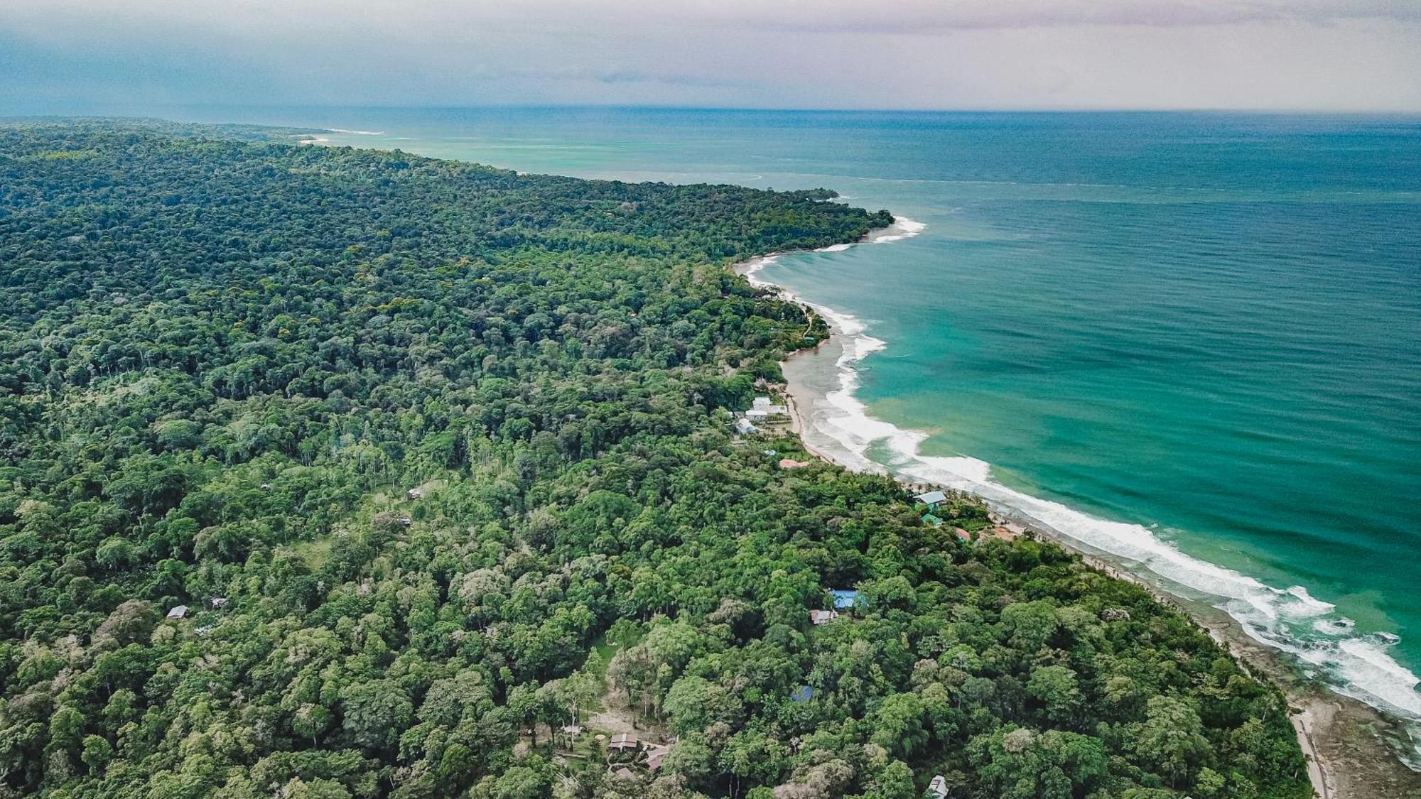 Bocas Garden Lodges Bocas del Toro Exteriör bild